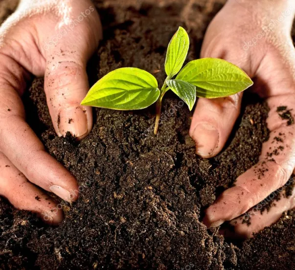 Soil Care