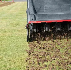 Lawn Aeration