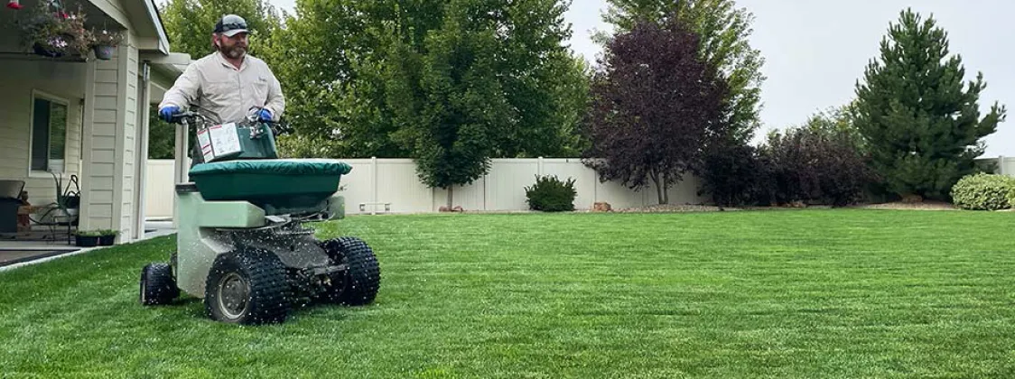 Organic Lawn Care