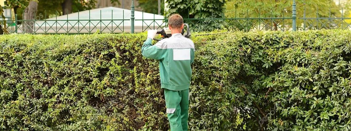 Trimming 